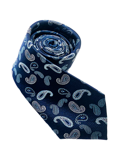 Navy Blue Paisley Print Silk Tie