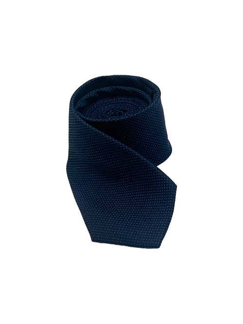 Blue Nano Dotted Silk Tie